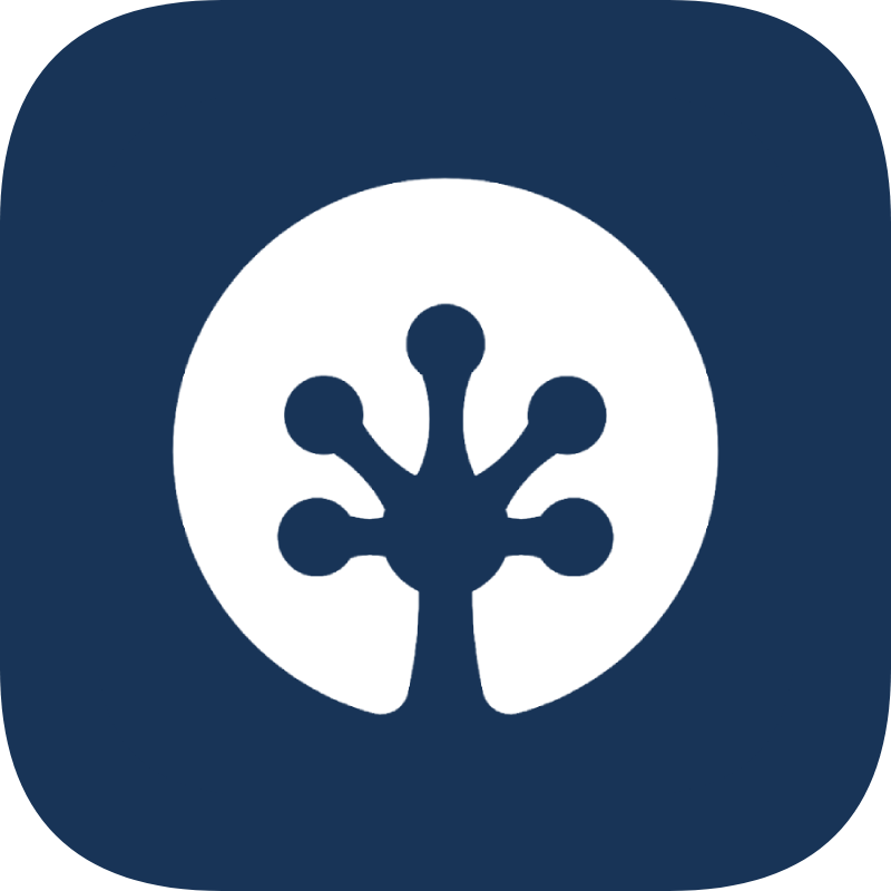 色彩大師安卓版博易大師安卓版下載