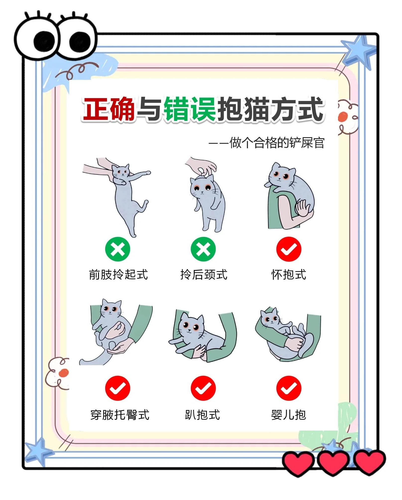 關于艸貓手機版運行教程的信息-第2張圖片-太平洋在線下載